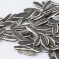 2019  hot sale small size black sunflower seeds with white stripes
